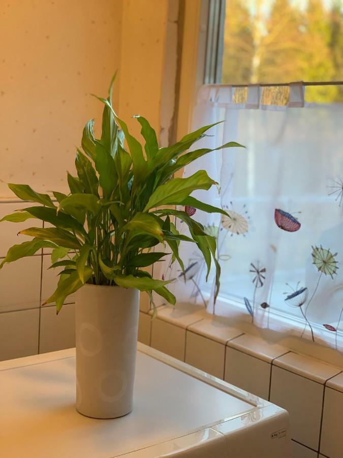 Cozy House In Kosta Center Surrounding With Swedish Nature מראה חיצוני תמונה
